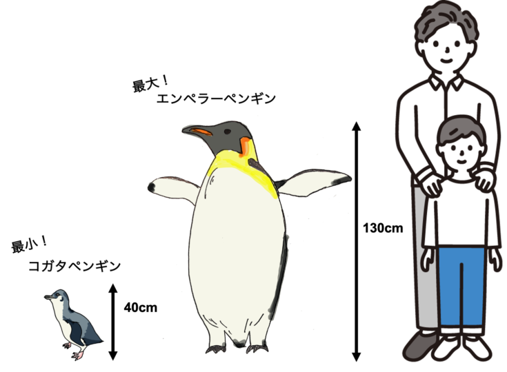 葛西臨海水族園 ペンギン あのヒナは今だけ 生物オタクがペンギンを徹底解説 Techpackers